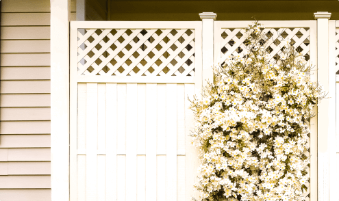 fence